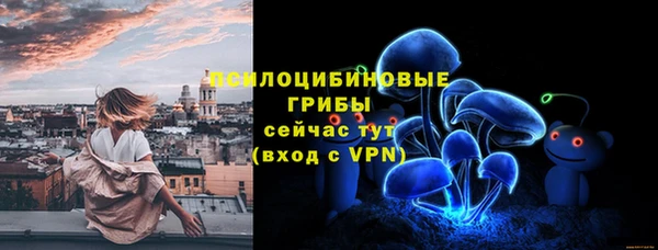 прущий лед Аркадак