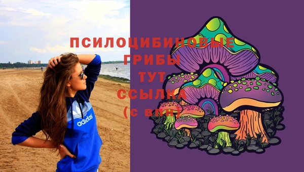 spice Арсеньев