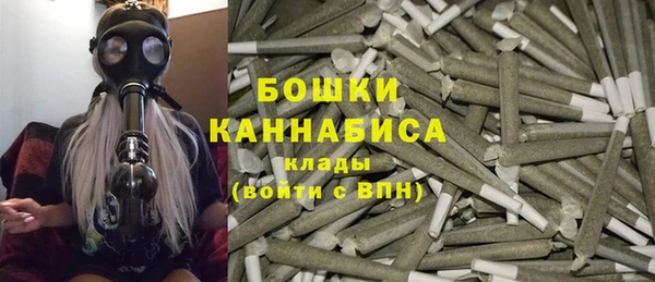 spice Арсеньев