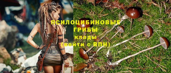 прущий лед Аркадак